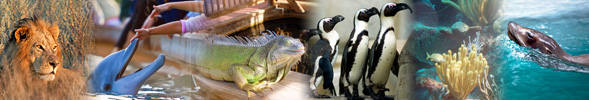Zoos