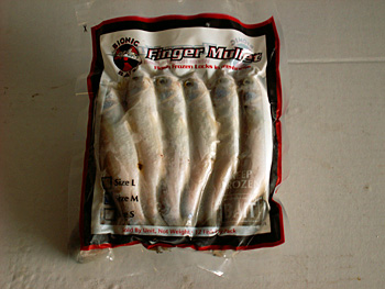 Bottom Bait