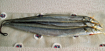 Specialty Baits