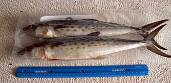 Specialty Baits